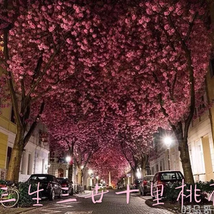 欧美XXX柔术做爰
